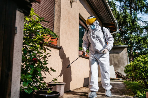 Best Rodent Control Near Me  in Palermo, CA