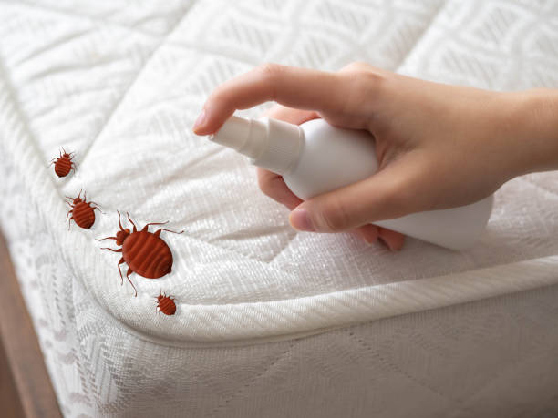 Best Ant Control Services  in Palermo, CA